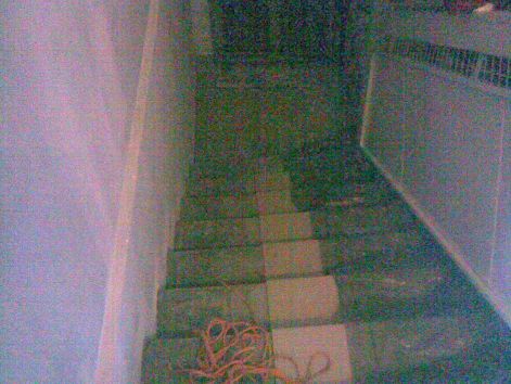 20110527001.jpg