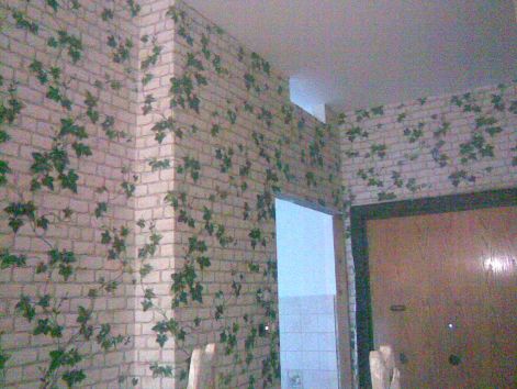 20110606001.jpg