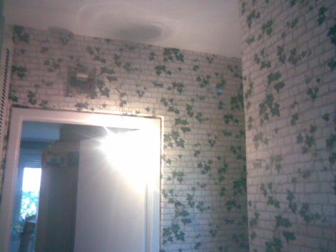 20110608002.jpg