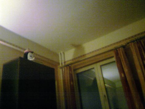p170212_18.13.jpg